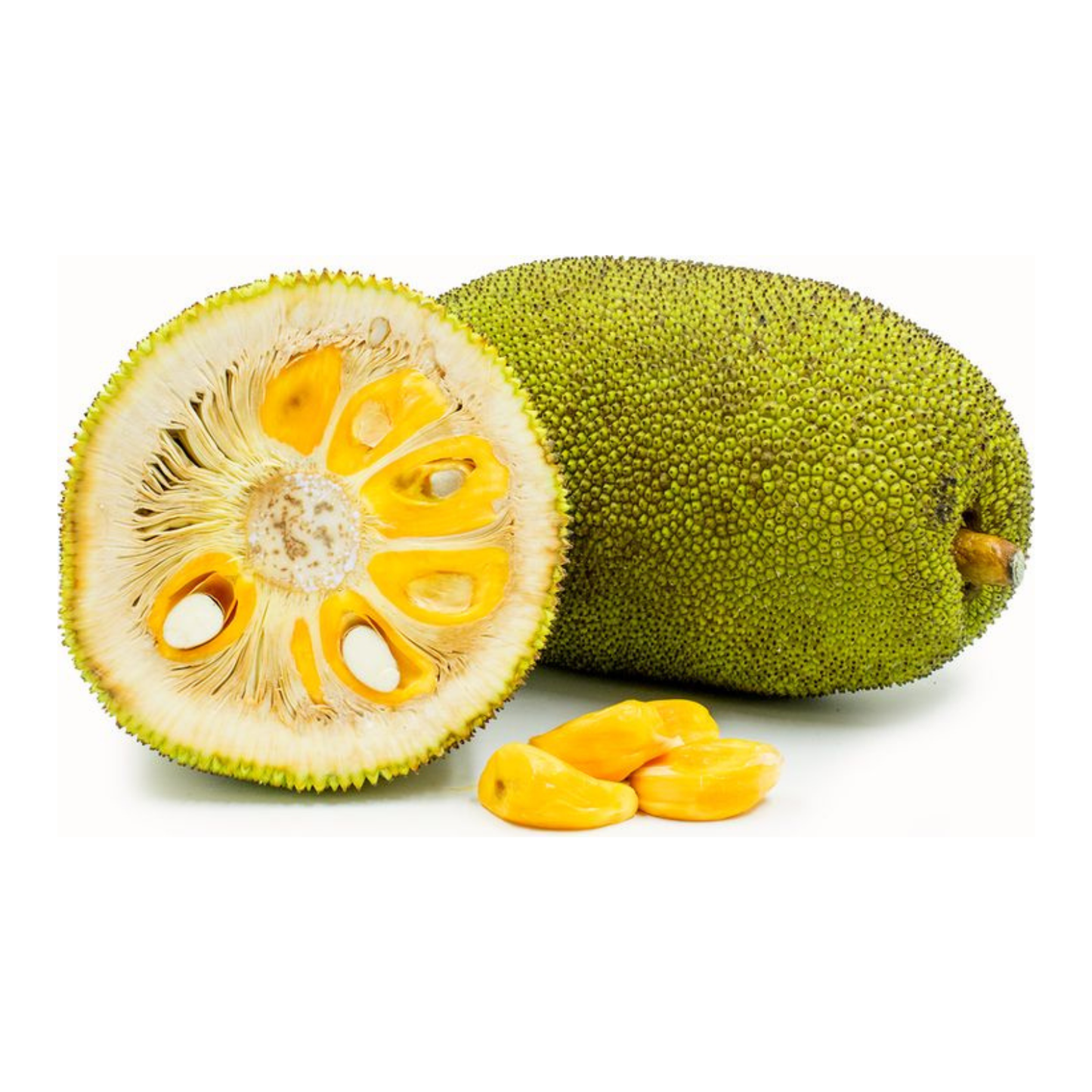 Organic Dried Jackfruit - 100% Pure Natural Premium Quality! - 100g